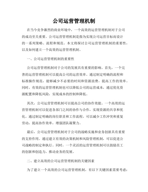 公司运营管理机制