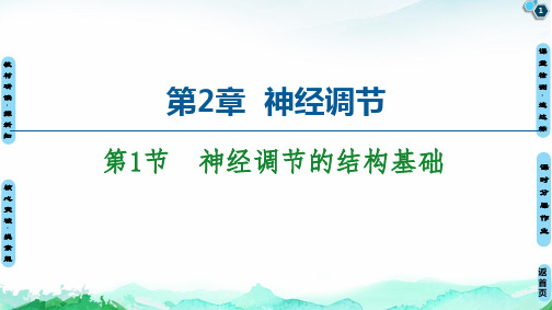 神经调节的结构基础课件【新教材】人教版高中生物选择性必修