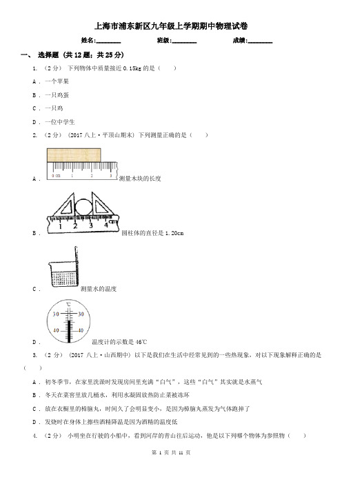 上海市浦东新区九年级上学期期中物理试卷