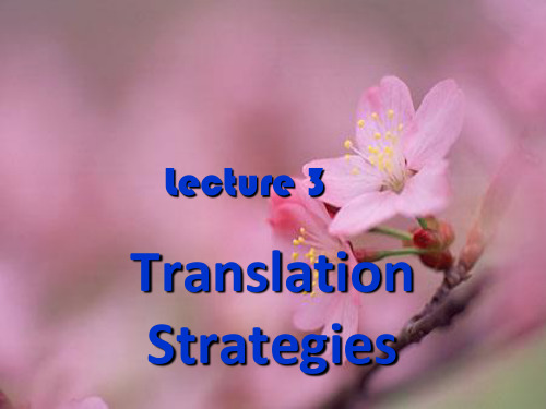 英译汉_Lecture_3  Translation Strategies