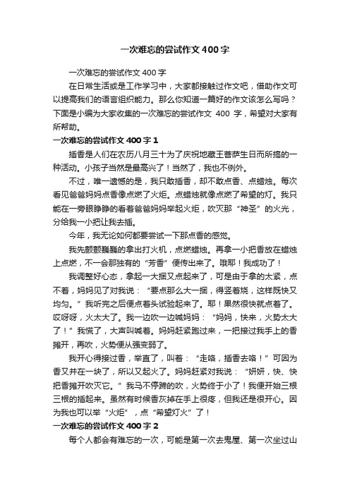 一次难忘的尝试作文400字