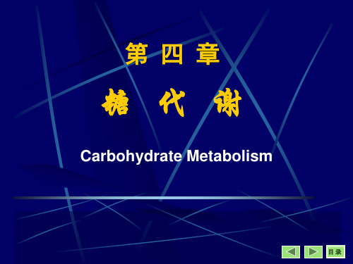 大学课程生物化学糖代谢(二系)课件