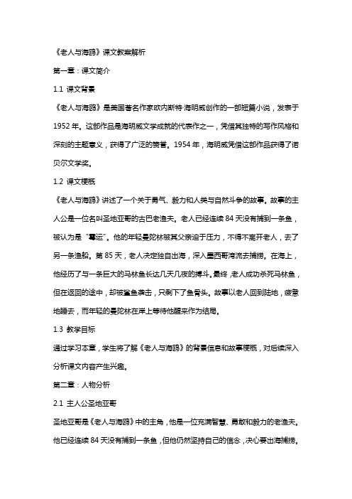 老人与海鸥课文教案解析