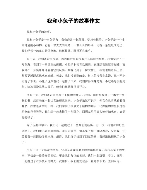 我和小兔子的故事作文