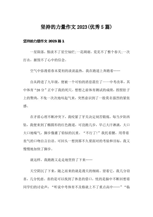 坚持的力量作文2023(优秀5篇)