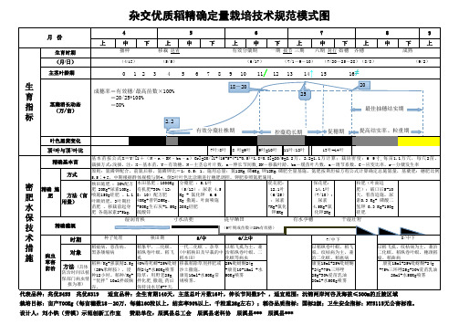 水稻定量模式图