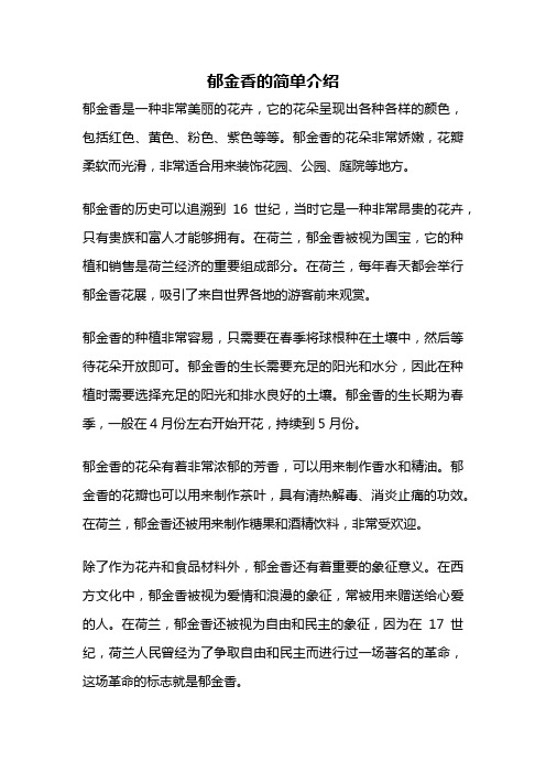 郁金香的简单介绍