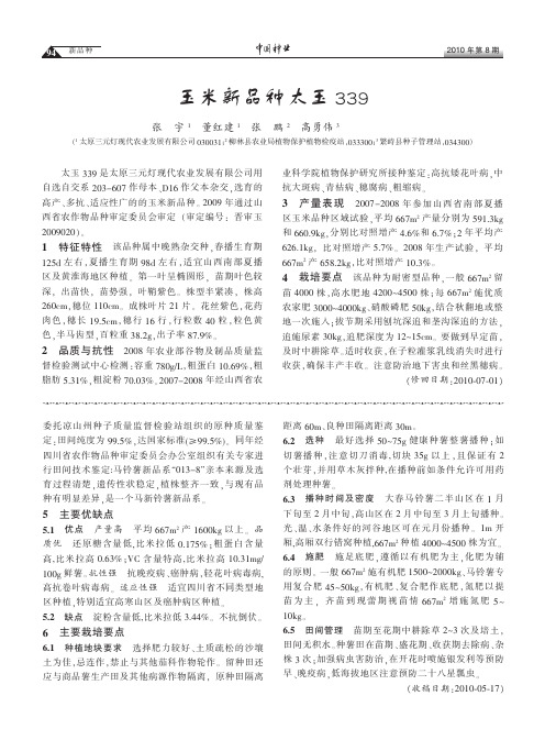 玉米新品种太玉339