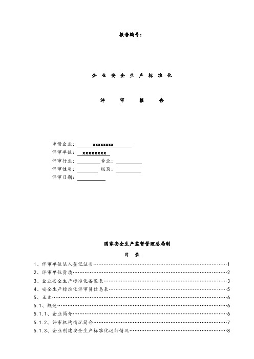 二级安全生产标准化评审报告.doc