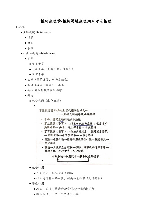 植物生理学-植物逆境生理期末考点整理