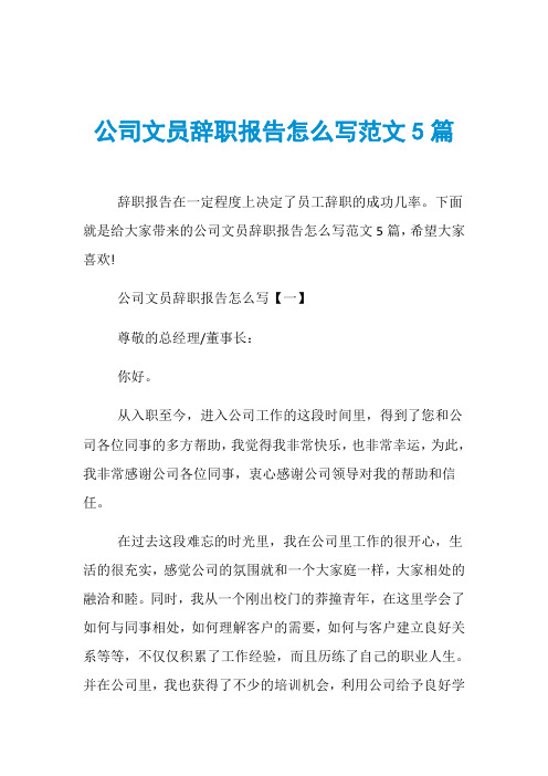 公司文员辞职报告怎么写范文5篇