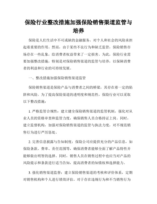 保险行业整改措施加强保险销售渠道监管与培养