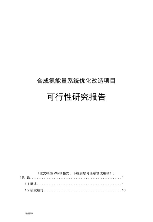 合成氨能量系统优化改造项目可行性研究报告