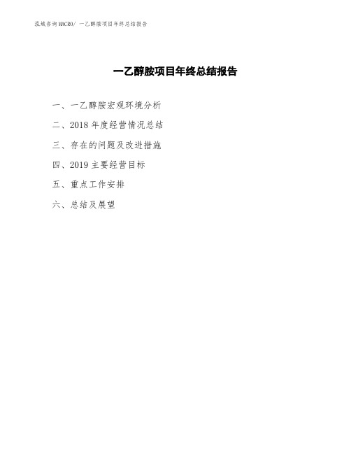 一乙醇胺项目年终总结报告