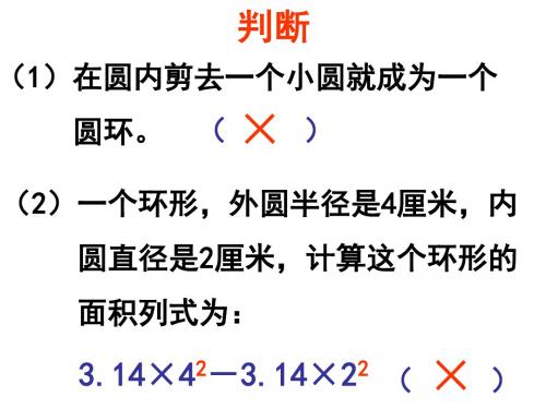 圆的周长与面积练习题