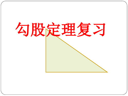 人教版八年级下册第十七章勾股定理复习课 课件