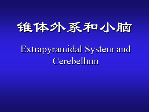 锥体外系和小脑