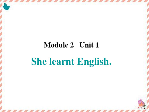 Module 2 Unit 1-She learnt English.课件