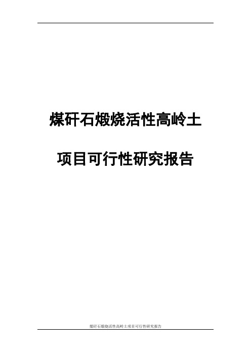 煤矸石煅烧活性高岭土项目可行性研究报告