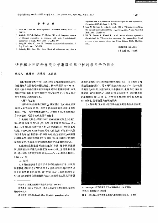 透析相关性淀粉样变关节滑膜组织中核转录因子的活化