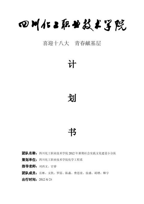 2012年化学工程系社会暑期实践策划书