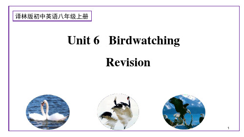 Unit6单元复习课件牛津译林版八年级英语上册