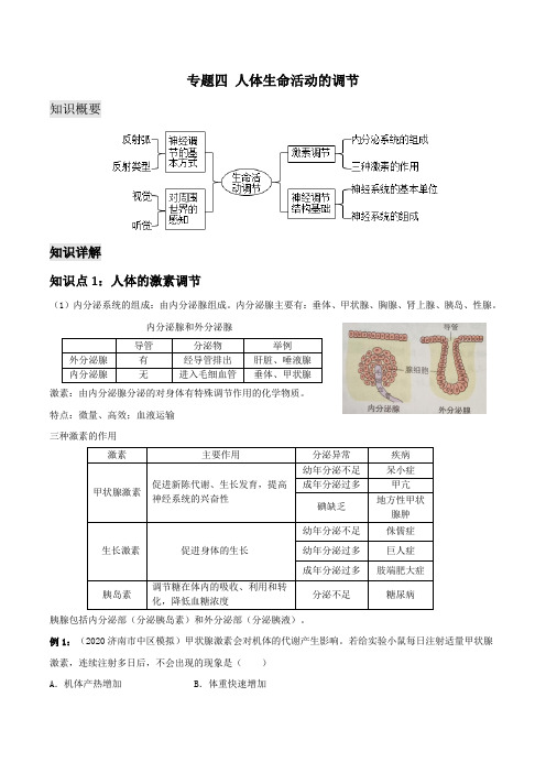 初中生物复习课 专题四人体生命活动的调节