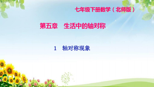 《轴对称现象》练习题课件