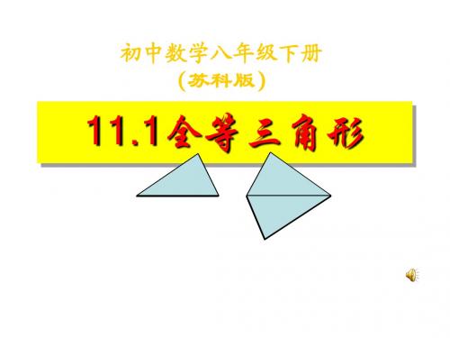 11.1全等三角形课件3[1]