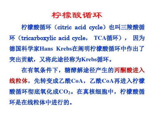 生物化学第23章柠檬酸循环