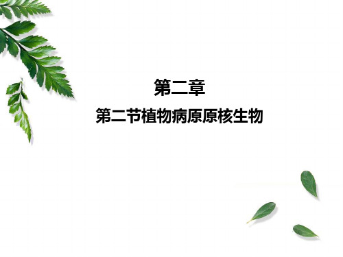 柯南科技大学植物病理学崔林开课件第二章3