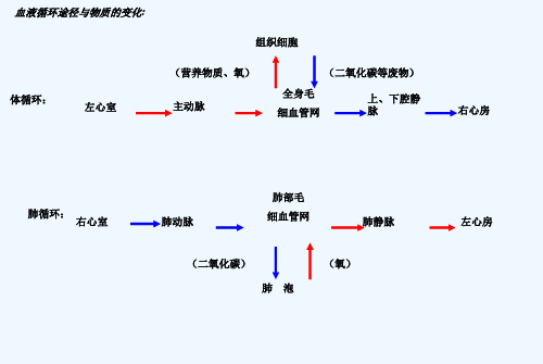 《输血和血型》公开课课件