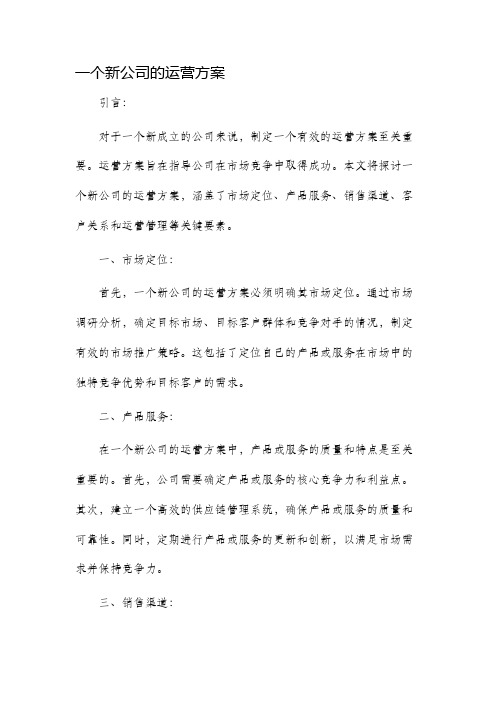 一个新公司的运营方案