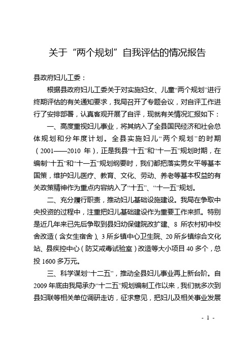 关于“两个规划”自我评估的情况报告