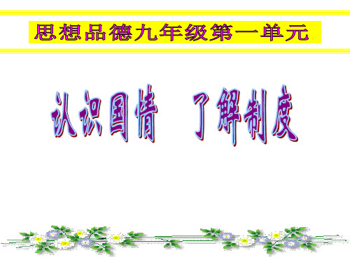 九年级政治我国的分配制度(整理2019年11月)