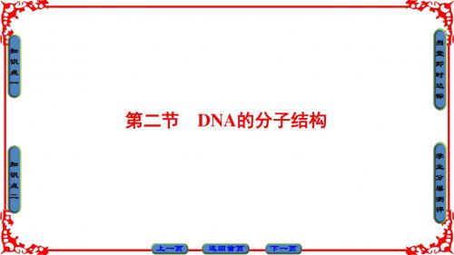 第3单元 第1章 第2节 DNA的分子结构