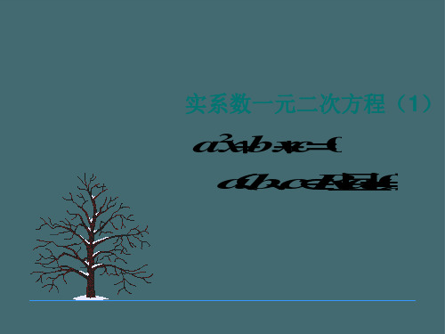 沪教版高中数学高二下册第十三章13.6 实系数一元二次方程 课件(2)