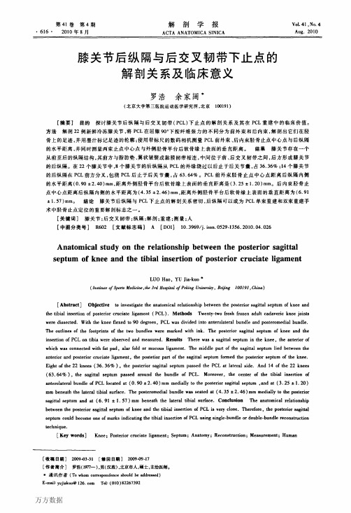 膝关节后纵隔与后交叉韧带下止点的解剖关系及临床意义