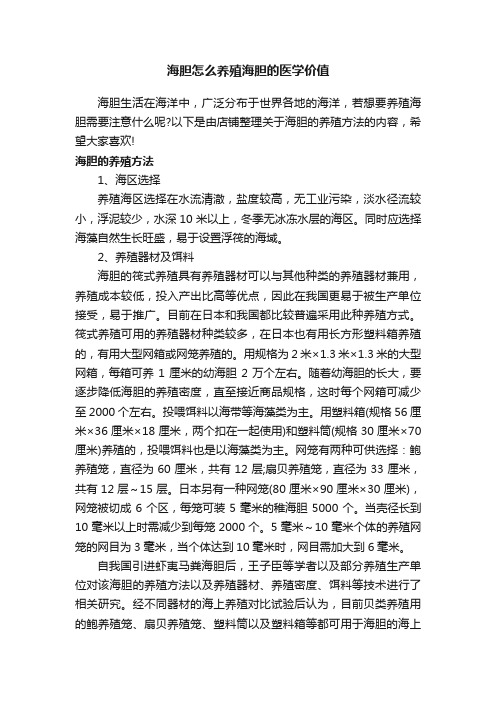 海胆怎么养殖海胆的医学价值