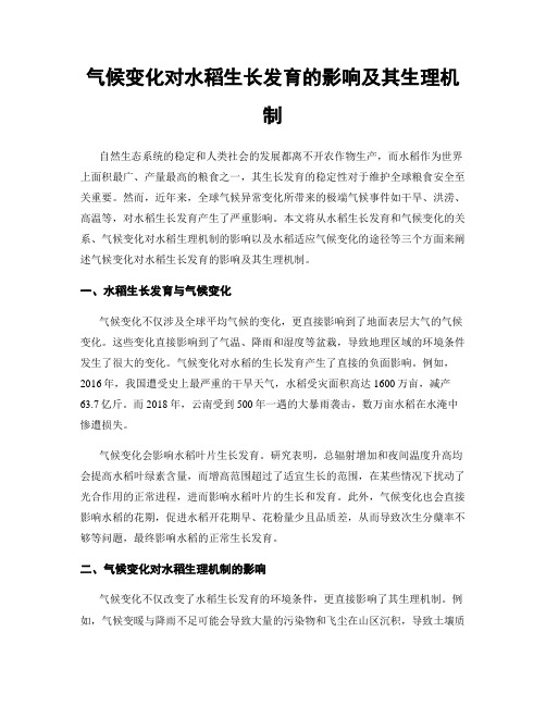 气候变化对水稻生长发育的影响及其生理机制