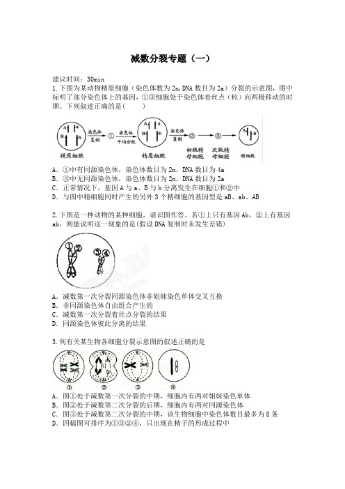 减数分裂专题一