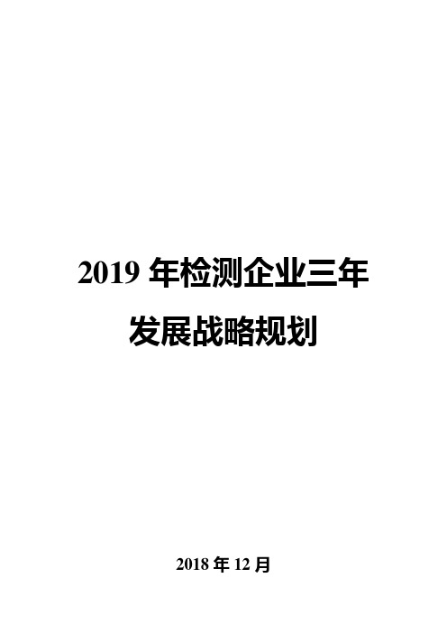 2019年检测企业三年发展战略规划