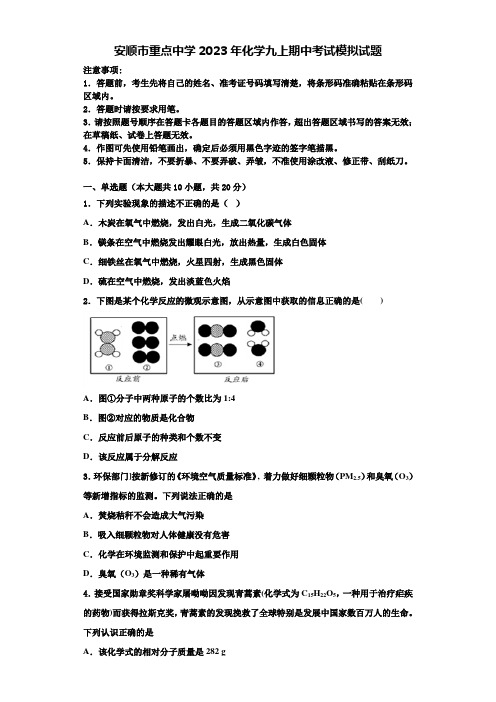 安顺市重点中学2023年化学九上期中考试模拟试题含解析