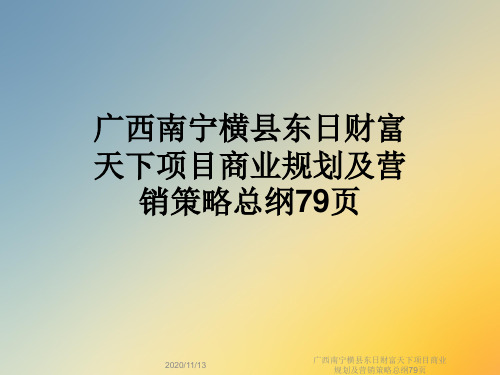 广西南宁横县东日财富天下项目商业规划及营销策略总纲79页