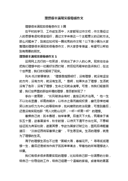 理想很丰满现实很骨感作文3篇