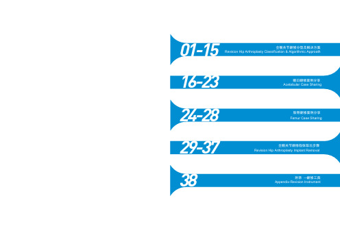 全髋关节翻修-分型及解决方案