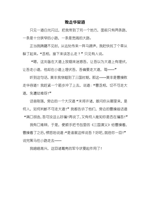 五年级作文:败走华容道作文400字