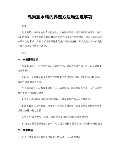 鸟巢蕨水培的养殖方法和注意事项