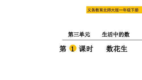 北师大版一年级数学下册第三单元  生活中的数第1课时  数花生