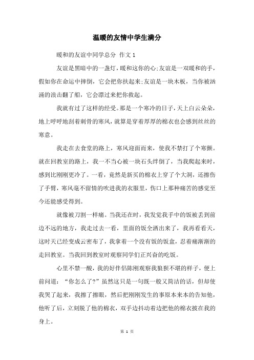 温暖的友情中学生满分